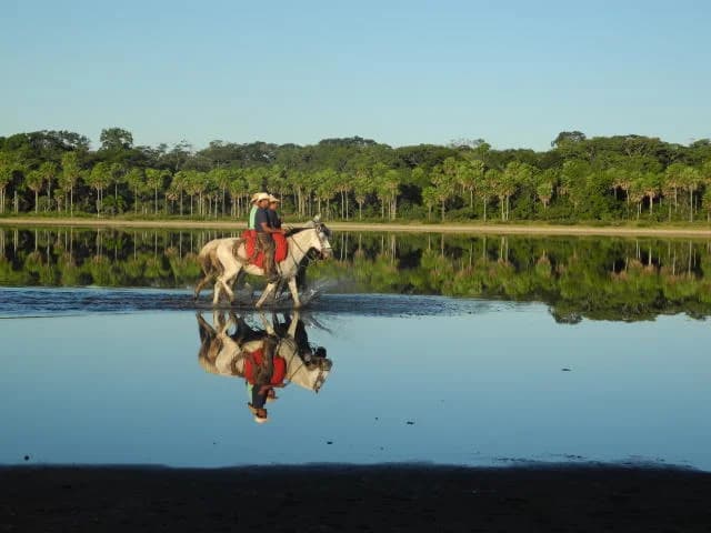 Mato Grosso do Sul chega aos 49 anos com destaque na pecuária brasileira há mais de 2 décadas
